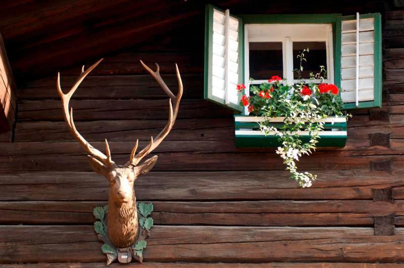 Hotel Gasthof Markterwirt Altenmarkt im Pongau Exteriér fotografie